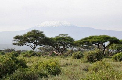 Mt Kilimanjaro from Amboselli National park